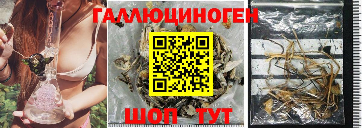 Псилоцибиновые грибы ЛСД Алексин