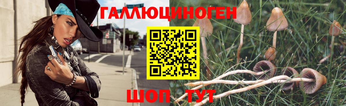 Алексин  Псилоцибиновые грибы Psilocybe  Вход с VPN 